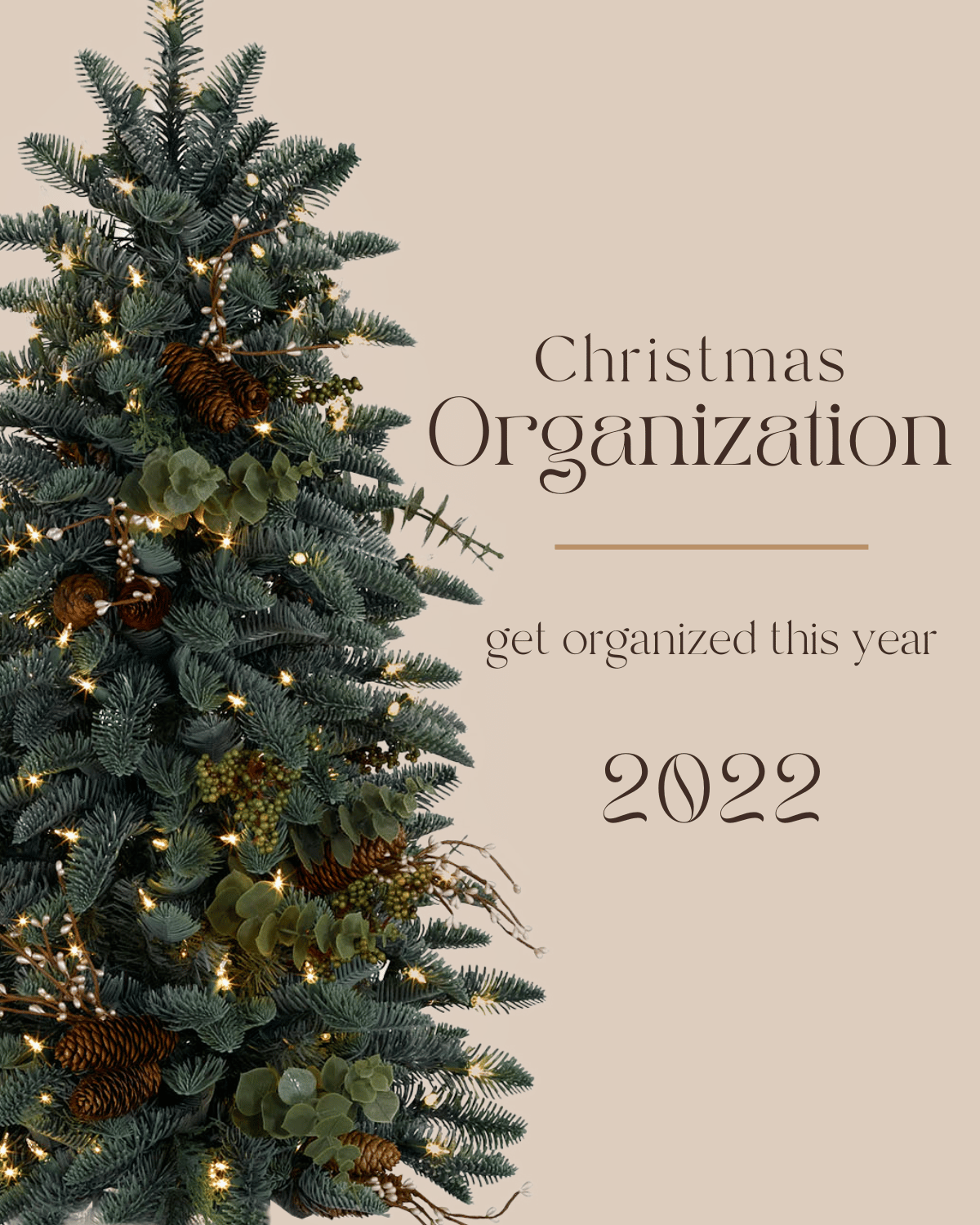 christmas organization GHVHVDN1343028 feature image, holiday storage, home storage 